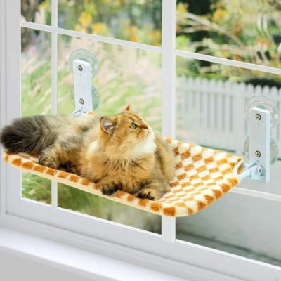 hamac pour chat fenêtre ragdoll  relaxant dessus confortablement 
