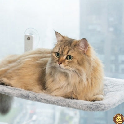 hamac pour chat fenetre tandem win win variante grise