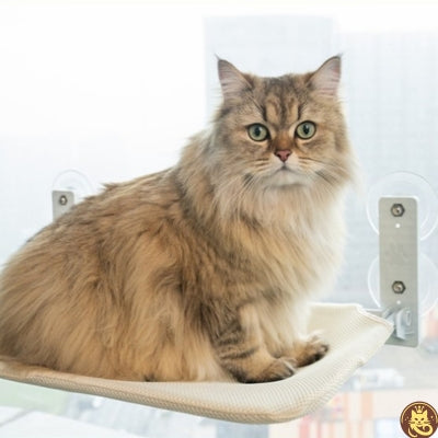 hamac pour chat fenetre tandem win win beige