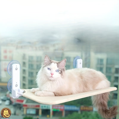 hamac pour chat fenetre tandem win win ragdoll en detente dessus