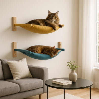 hamac pour chat jaune maine coon relaxant hamac bleu bangal endormi  
