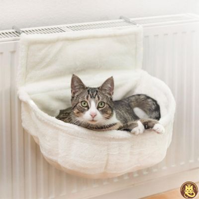 hamac pour chat purr fect hotspot accroché radiateur chaton en detente