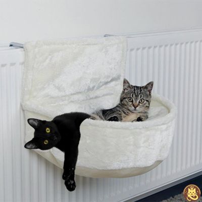 hamac pour chat purr fect hotspot accroché radiateur deux chatons relaxant dedans
