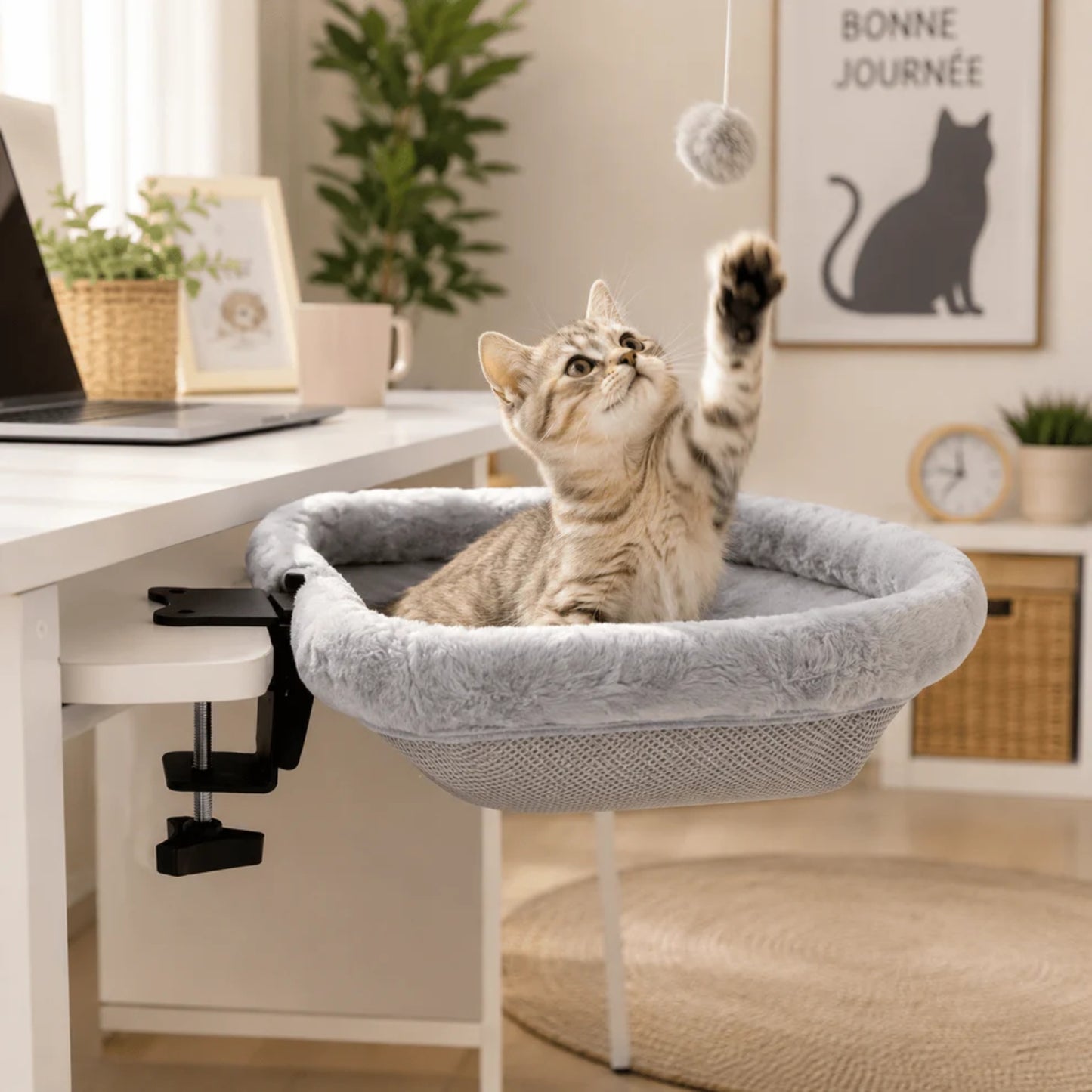 hamac pour chaton bureau chaton joue pompon à mes côtés