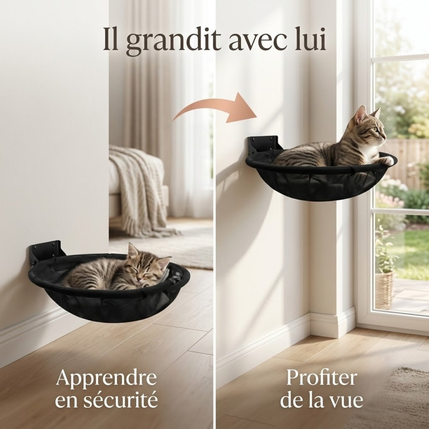 hamac pour chaton installation evolutive bas puis haut