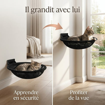 hamac pour chaton installation evolutive bas puis haut
