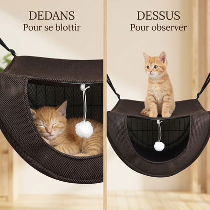 hamac pour chaton avant après chaton recroquevillé dans un couchage trop grand puis lové à sa taille dans le cocon