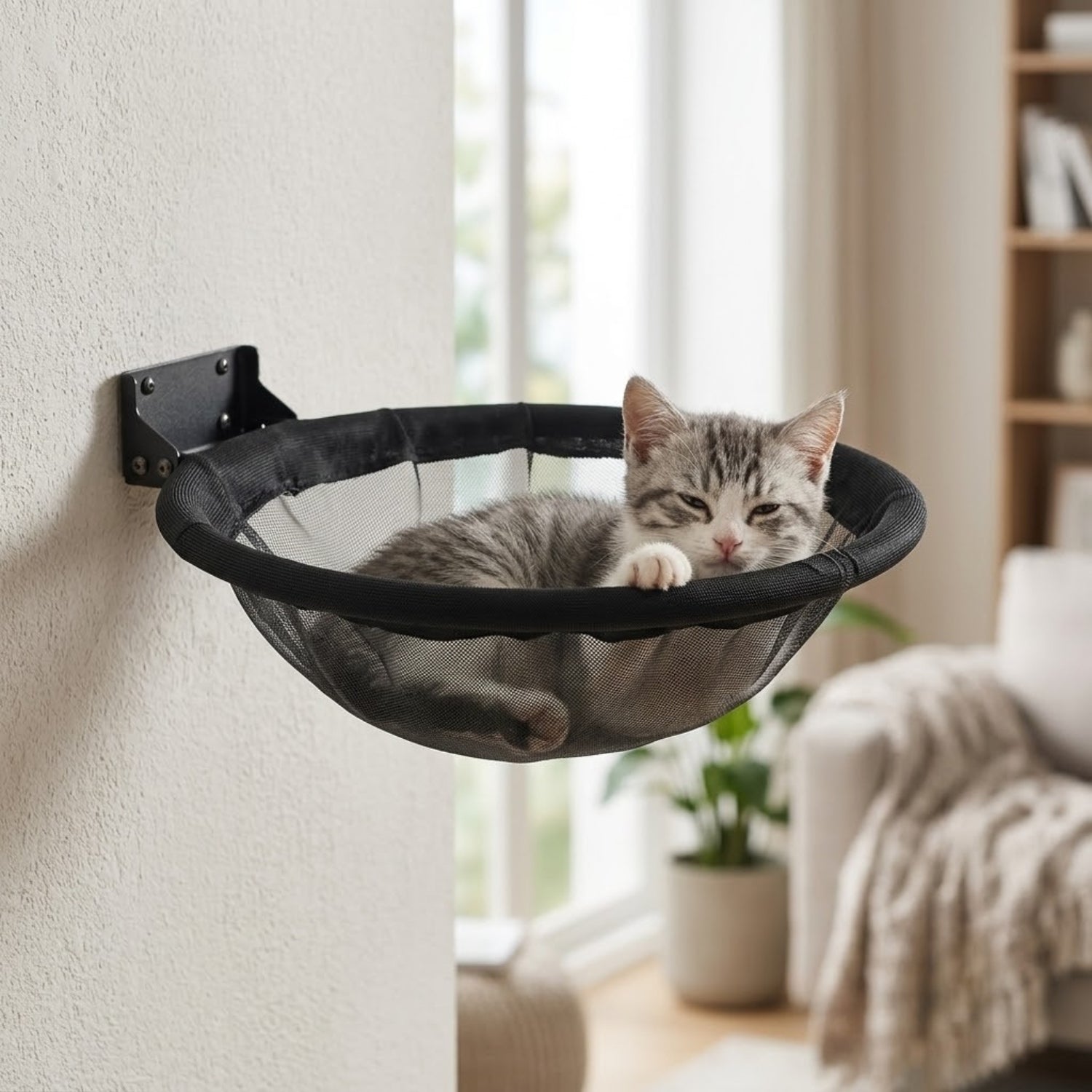 hamac pour chaton mural mesh chaton gris tigré lové dedans