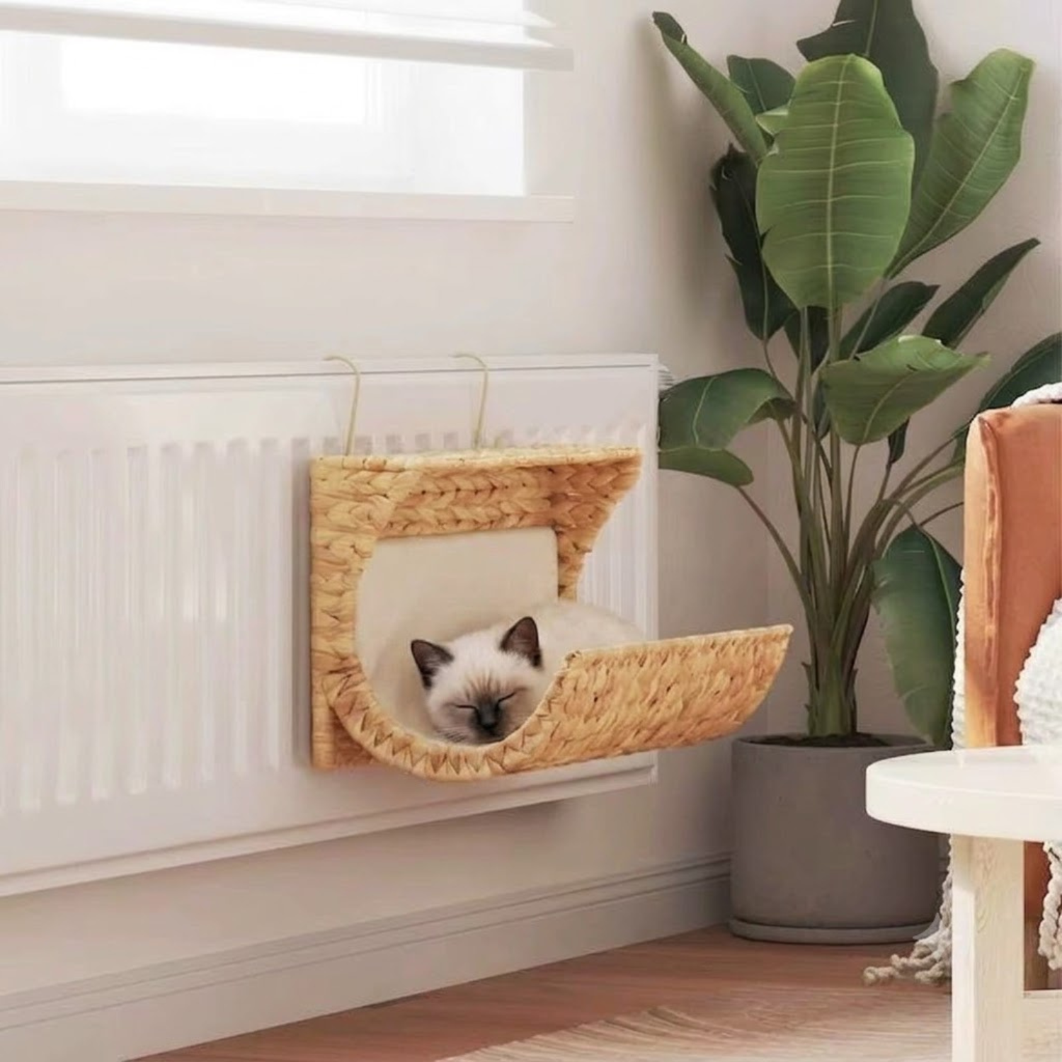 hamac pour chaton radiateur chaton birman endormi cocon tressé
