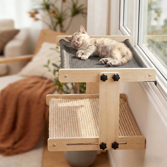 hamac pour chaton installé bord fenêtre chaton endormi paisiblement dessus