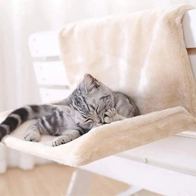 hamac-radiateur-chat-accroché fenêtre chat se toilette