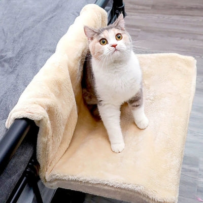 hamac radiateur chat beige chat debout dessus