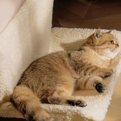 hamac radiateur chat beige chat detendu paisiblement dessus