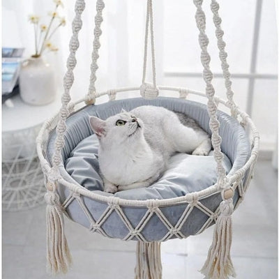 hamac suspendu chat dans salon chat en detente dedans