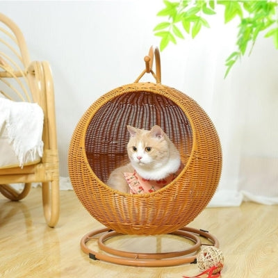 hamac suspendu pour chat marron chat observant dedans