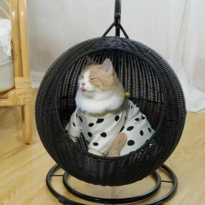 hamac suspendu pour chat noir chat somnolant dedans