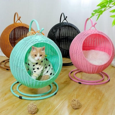 hamac suspensu pour chat vert chat detendu dedans rose marron noir derrière