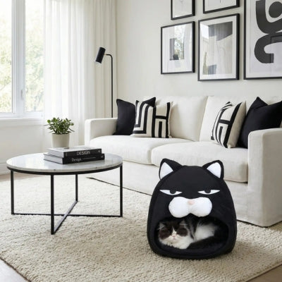 hymalayen lové dans couffin chaton dans salon