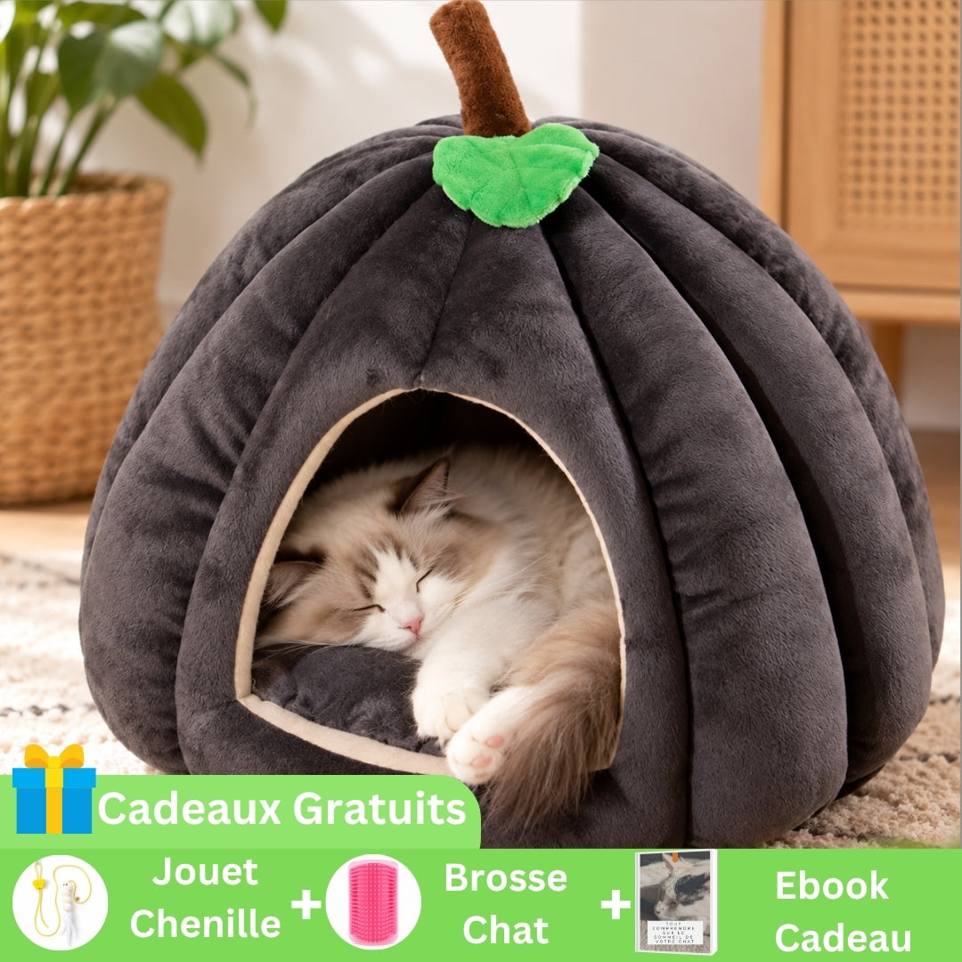 image offre marketing niche a chat potichat