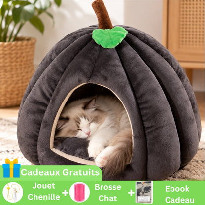image offre marketing niche a chat potichat