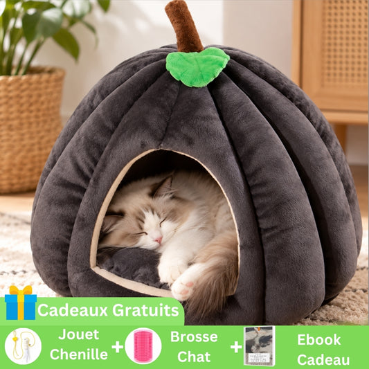 image offre marketing niche a chat potichat