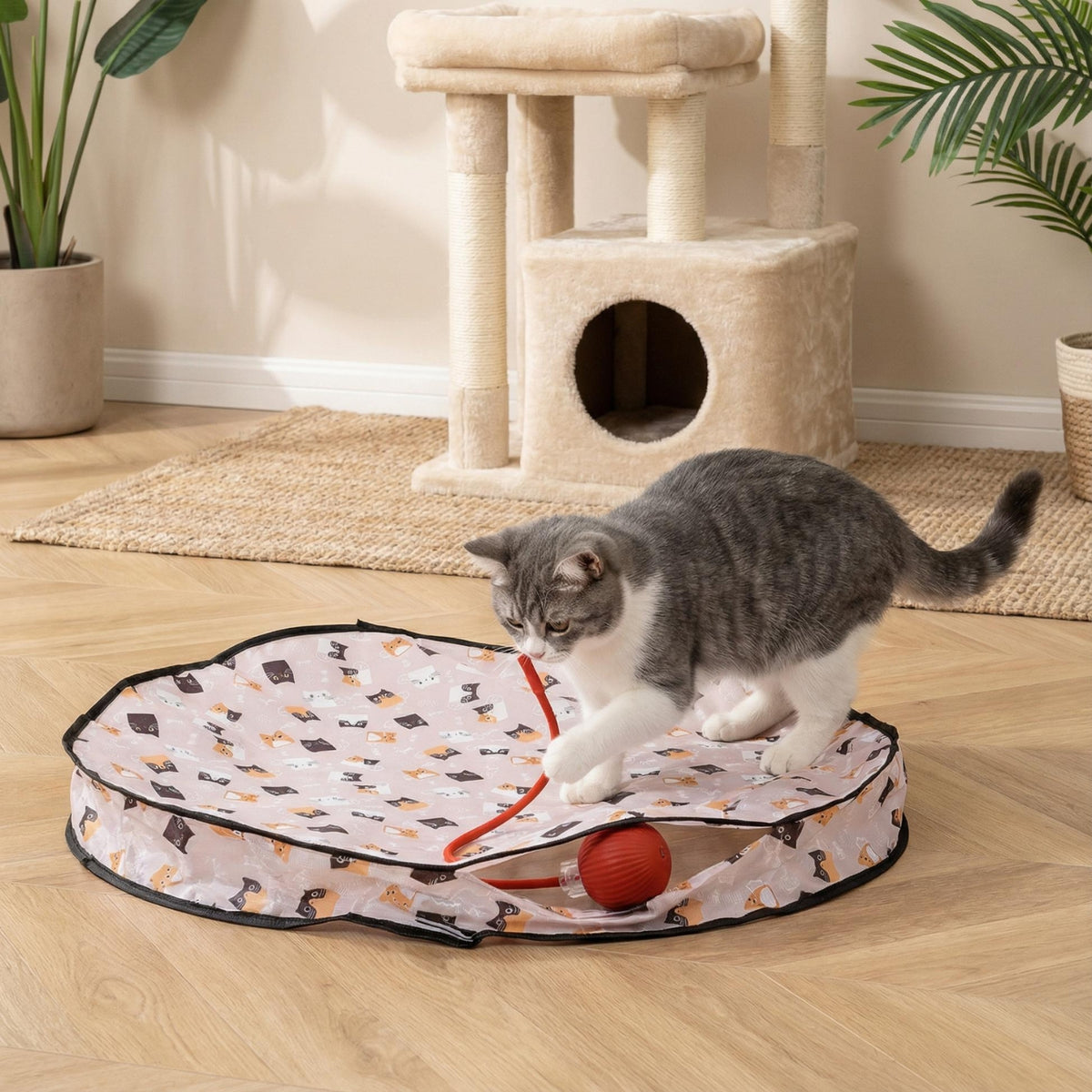 jouet chat chat attrape corde de la balle sous housse