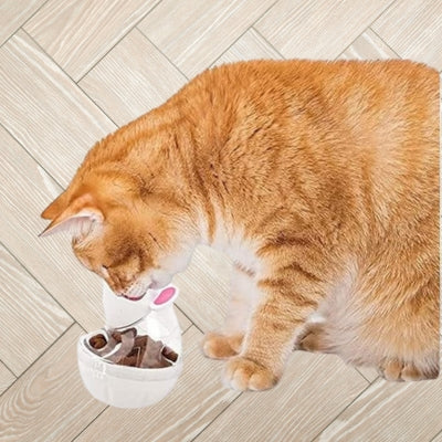 jouet pour chat chat decouvrant avec interêt