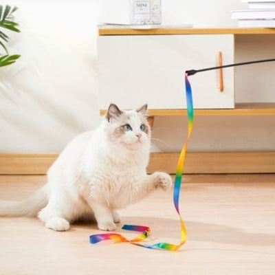 jouet chat chat joue avec bâton coloré