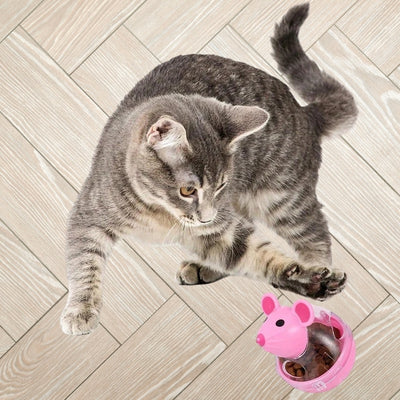 jouet chat chaton jouant avec son distributeur rose