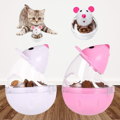 jouet chat chaton prêt à sauter sur son jouet