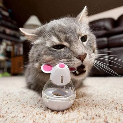 jouet chat face chat devant distributeur blanc