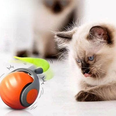 Jouet Chat Interactif - Auto RollBall™