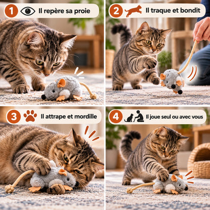 Chat mordillant un jouet souris à cordon en peluche et le maintenant entre ses pattes