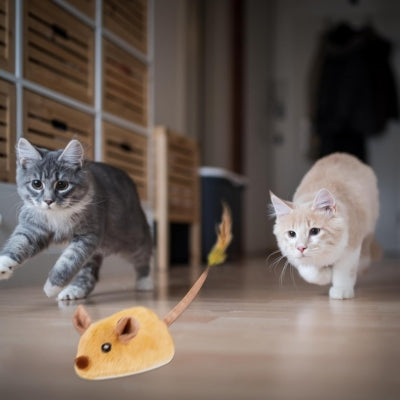 jouet pour chat deux chats courant après souris jaune