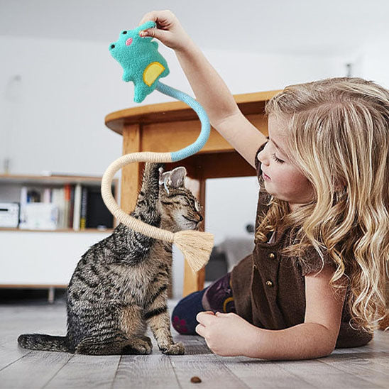 jouet pour chat filette jouant chaton