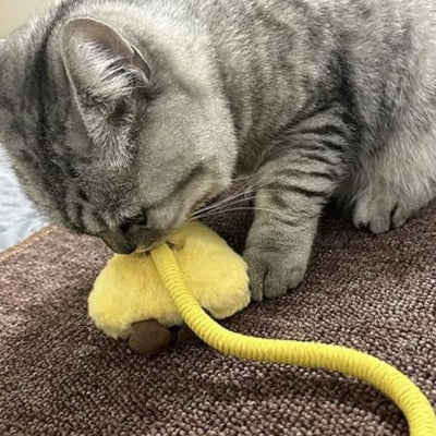 jouet pour chat jaune fromage