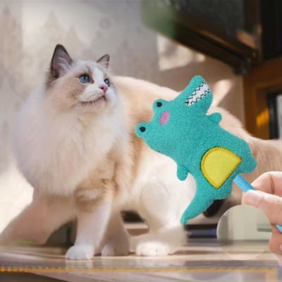 jouet pour chat main agitant jouet turquois crocodile devant ragdoll