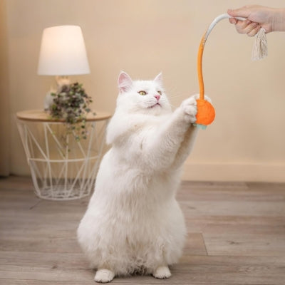 jouet pour chat orange carotte