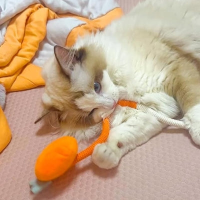 jouet pour chat ragdoll machouillant jouet orange carotte