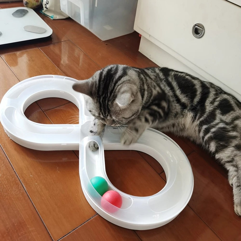 jouets interactifs pour chat american shorthair s'amusant avec passion