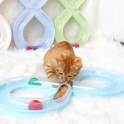 jouets interactifs pour chat chat mettant sa patte dans jeu