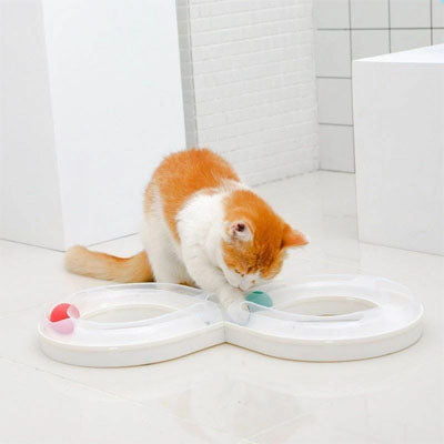 jouets interactifs pour chat chaton jouant avec