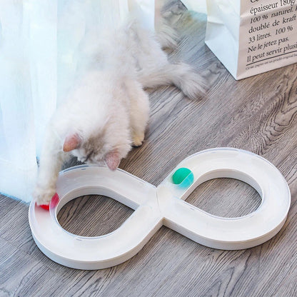 jouets interactifs pour chat ragdoll s'amuse avec intérêt