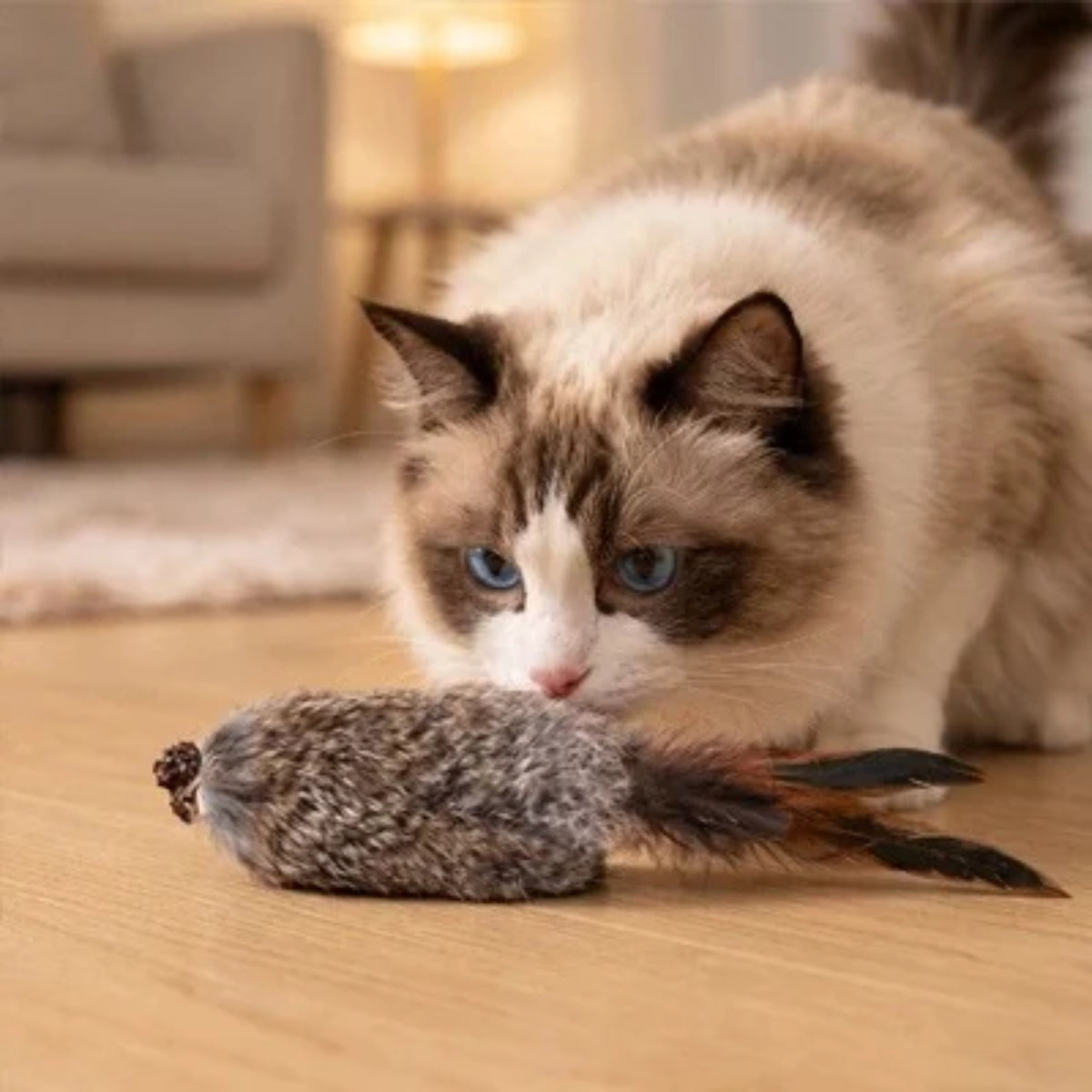 jouets pour chat, ragdoll flairant un jouet à plumes
