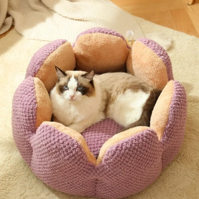 lit chat birman relaxant dedans