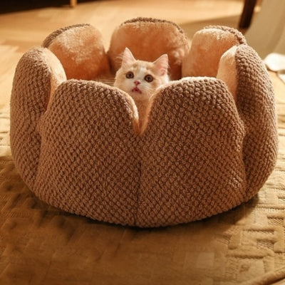 lit chat chaton detendu confortablement dedans