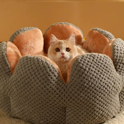 lit chat chaton en relaxation dedans