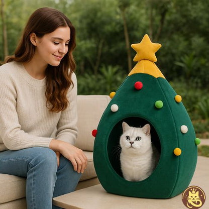 lit chat sapin ronron chat blanc dedans jeune femme ravie