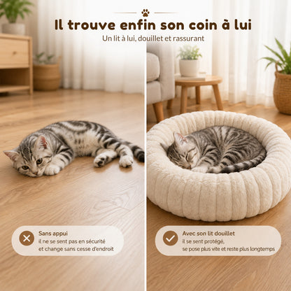 lit chaton blanc neige chaton calé contre bord doux