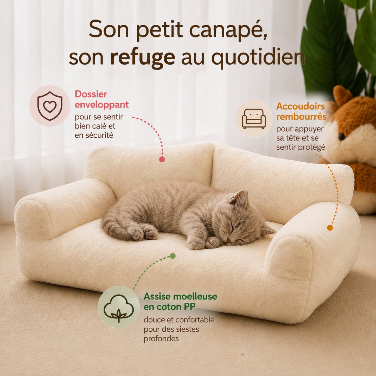 lit chaton canapé crème, chaton endormi, caractéristiques annotées